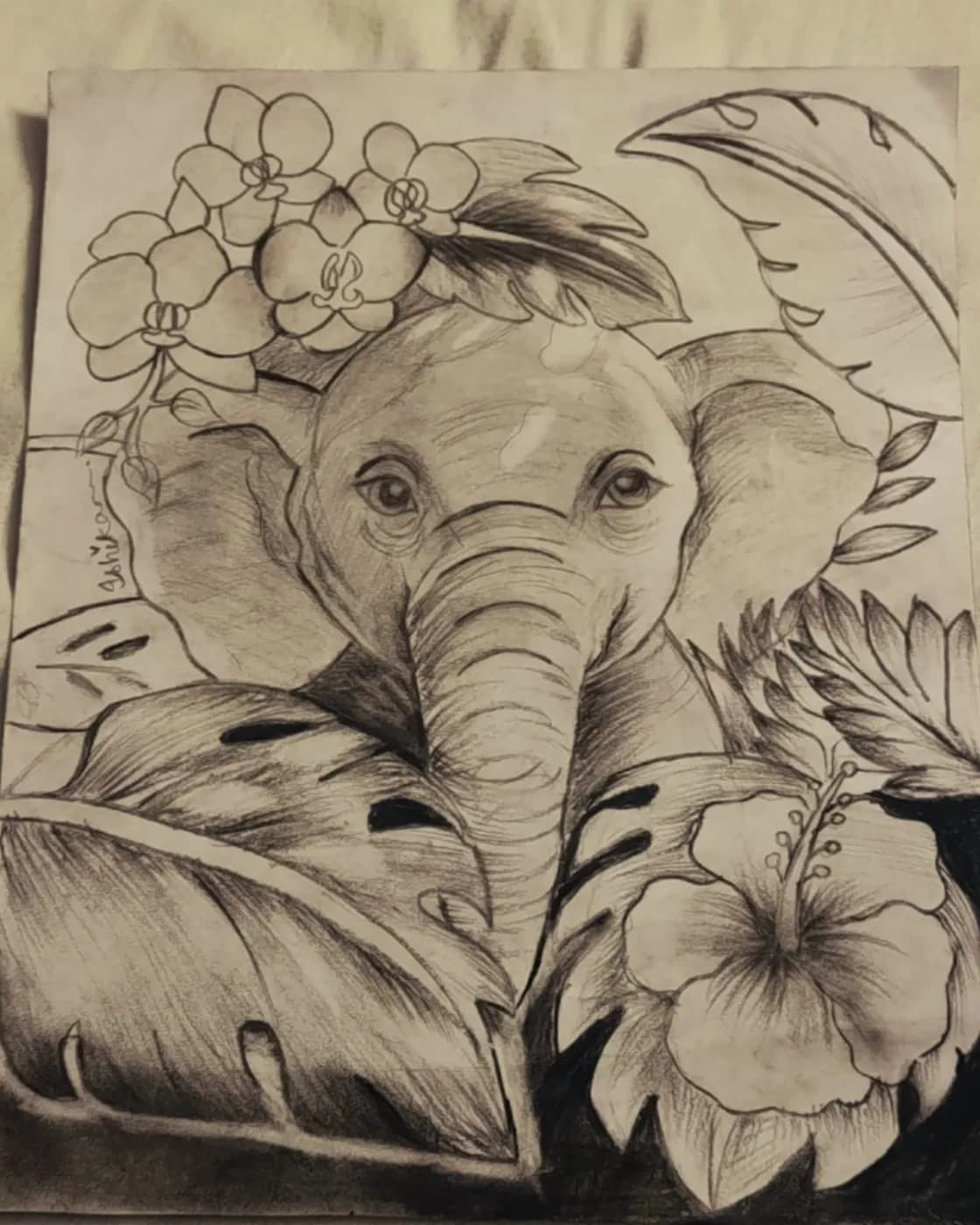I love sketching, photo 1 of 1