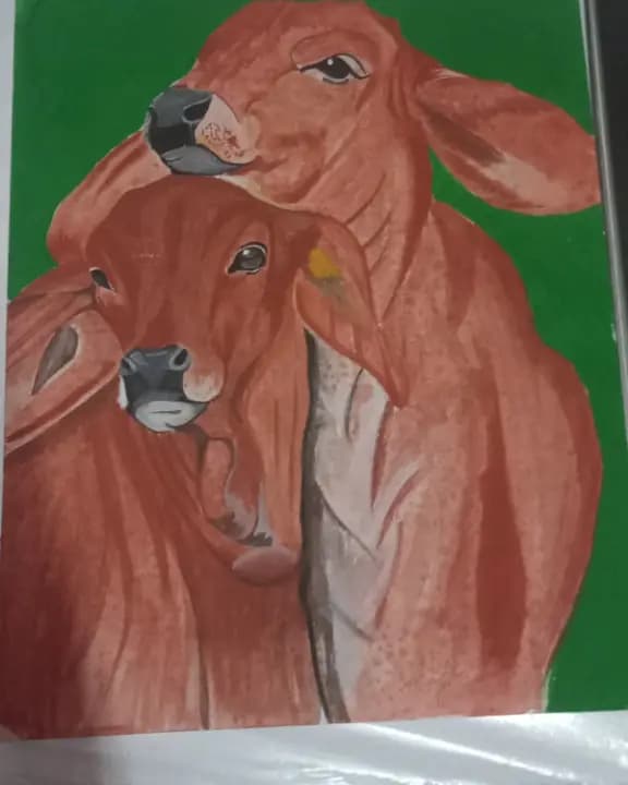 Handmade cow painting on paper