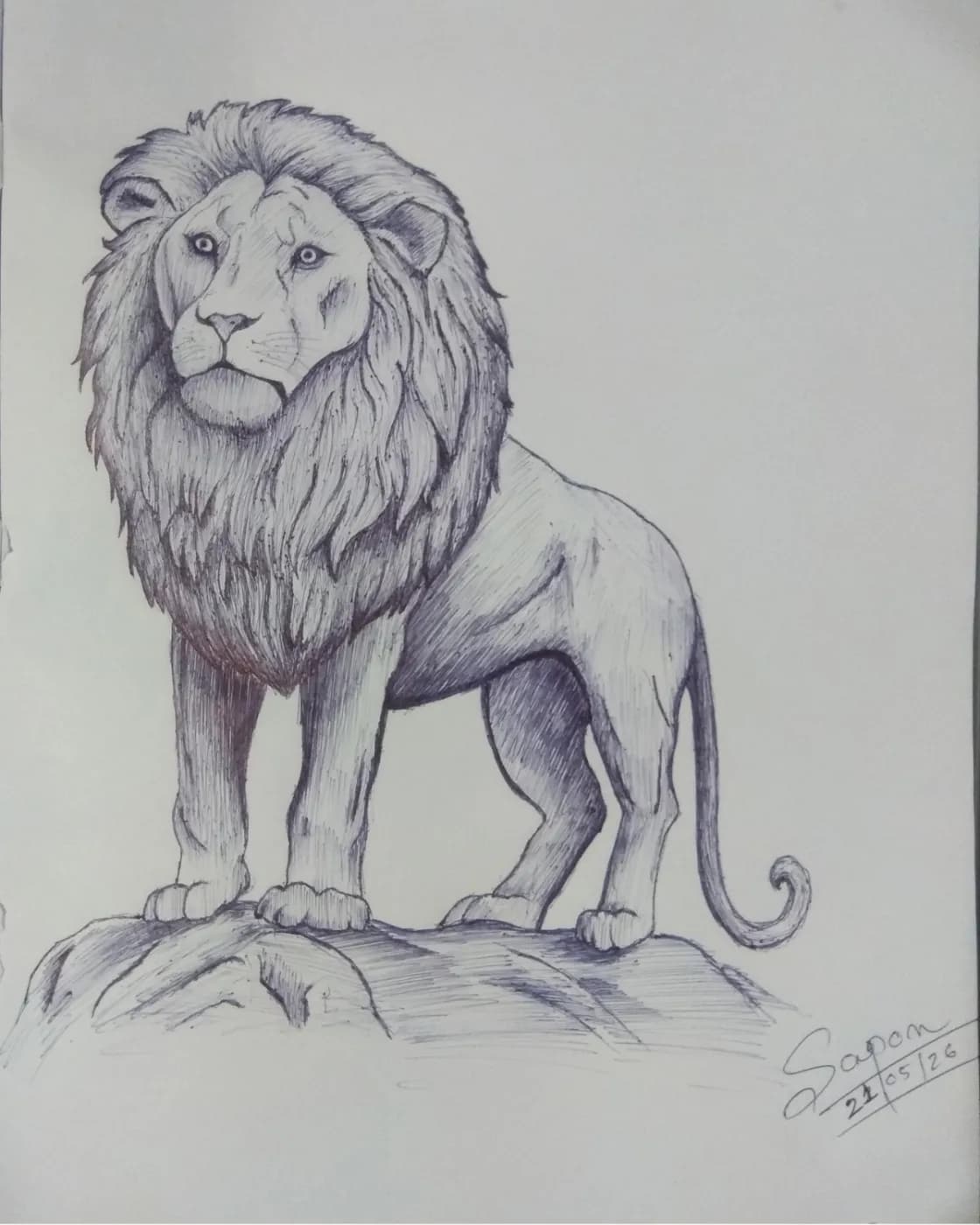 Handmade lion pen sketch art, photo 1 of 1